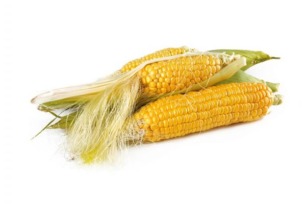 Как правильно готовить и принимать кукурузные рыльца для похудения, результаты и отзывы худеющих