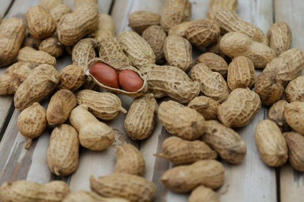 Можно ли кушать арахис при похудении, калорийность и полезные свойства орехов